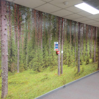 Forest Trees wallpaper mural UK free delivery