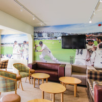 Cricket Themed Wallpaper Mural