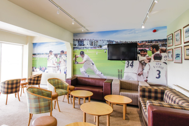 Cricket Themed Wallpaper Mural