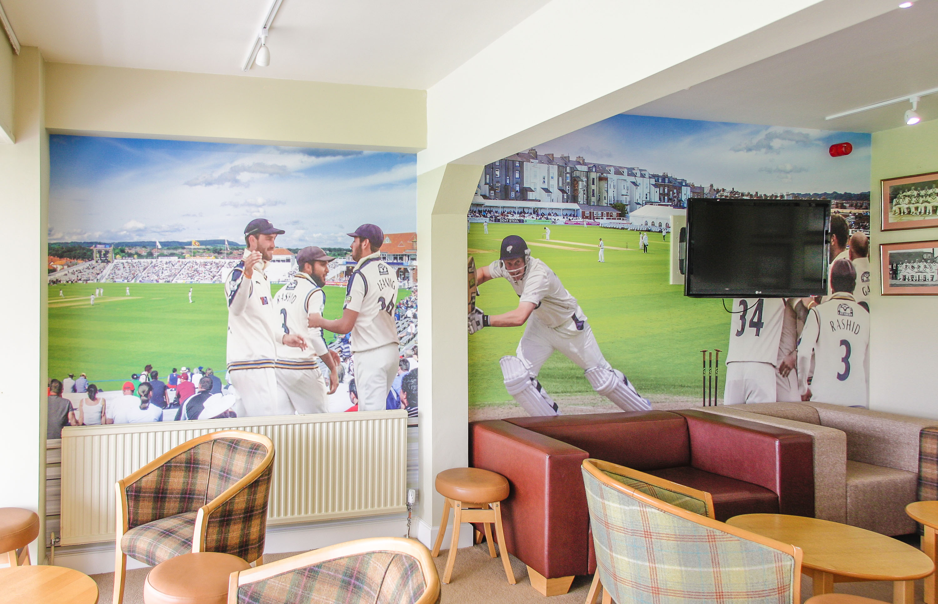 Custom Cricket Themed wallpaper mural