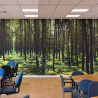 Custom Forest Wall Mural by Pictowall
