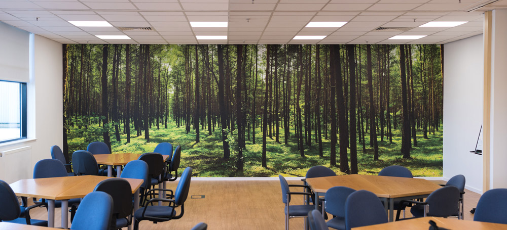 Custom Forest Wall Mural by Pictowall