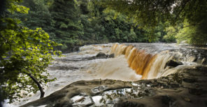 Aysgarth Day 1 Wallpaper mural