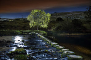 Bleezley Stepping stones Wallpaper mural
