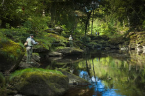 The Strid Fly fishing Wallpaper mural