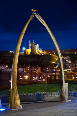 Whitby Jawbone Wallpaper mural