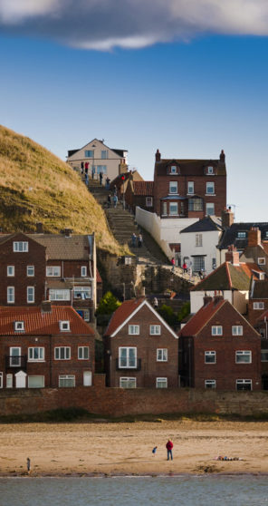 whitby steps Wallpaper mural