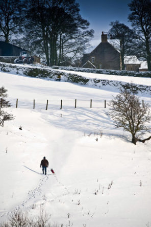winter walk Wallpaper mural